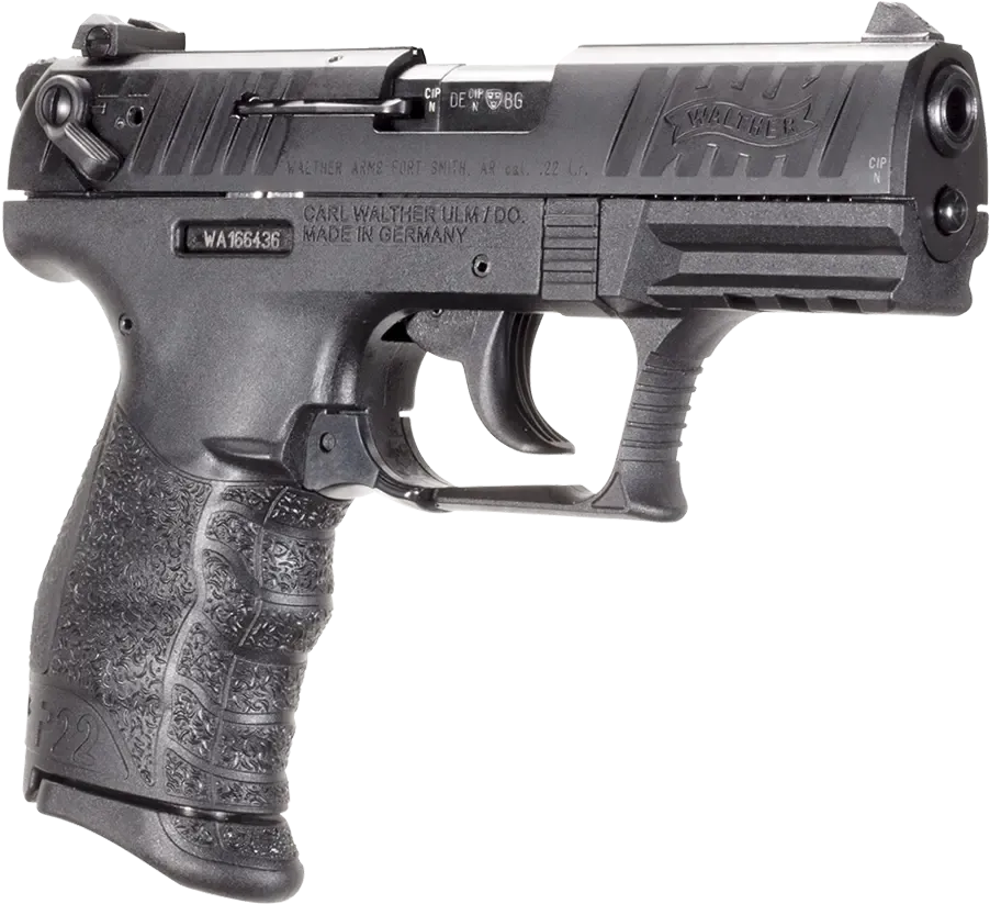  P22 & P22 CA Primary Use: Concealed Carry | Home Defense | Target Shooting